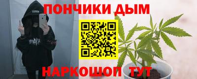 Альфа ПВП Можга