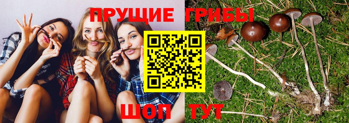 Галлюциногенные грибы мицелий Шали