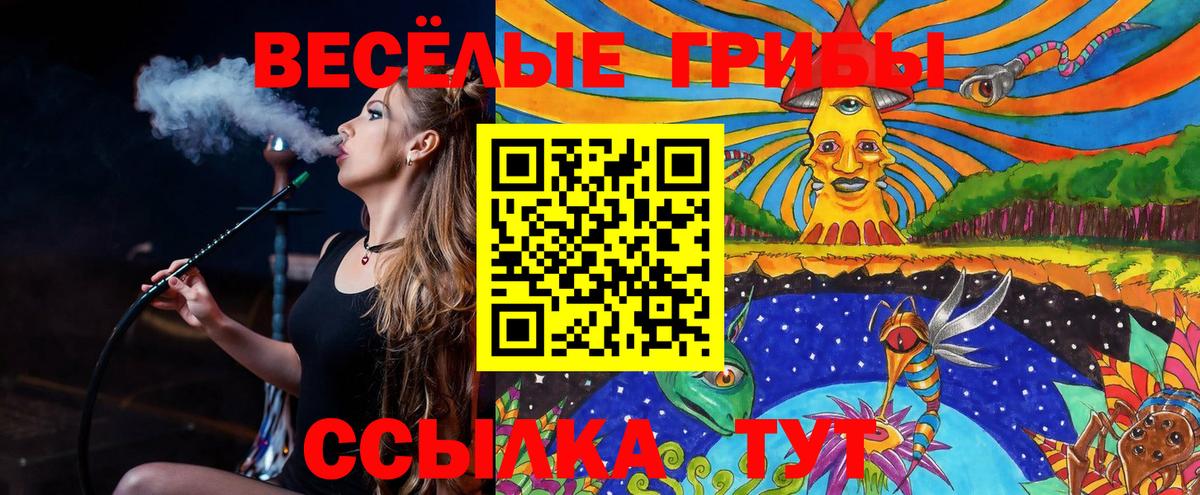 Шали  Псилоцибиновые грибы Cubensis  Вход с VPN 